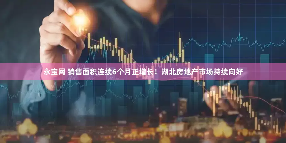 永宝网 销售面积连续6个月正增长！湖北房地产市场持续向好