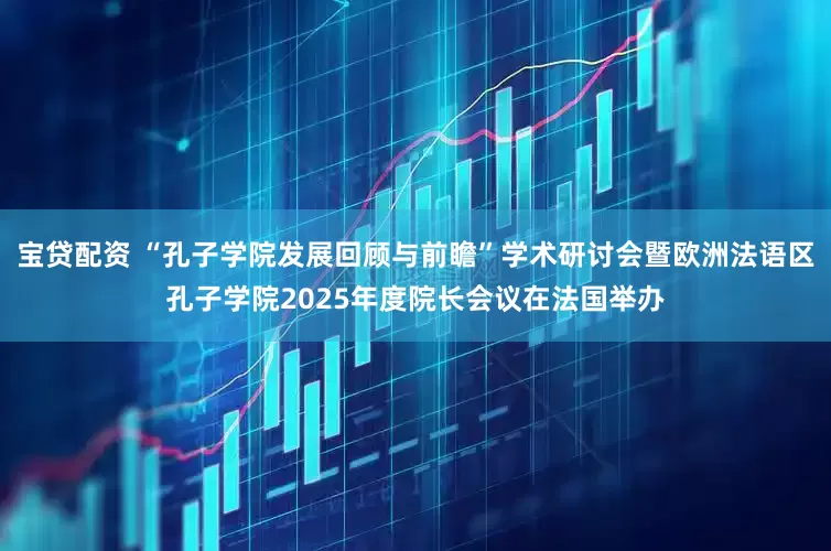 宝贷配资 “孔子学院发展回顾与前瞻”学术研讨会暨欧洲法语区孔子学院2025年度院长会议在法国举办
