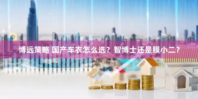 博远策略 国产车衣怎么选？智博士还是膜小二？