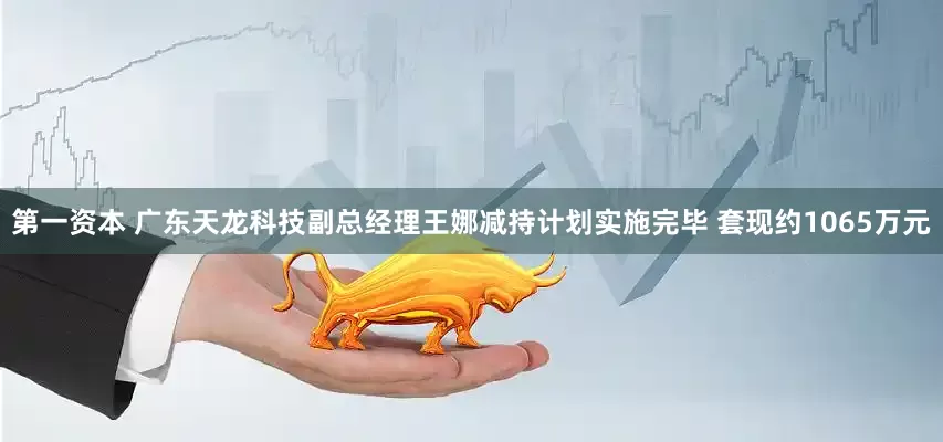 第一资本 广东天龙科技副总经理王娜减持计划实施完毕 套现约1065万元
